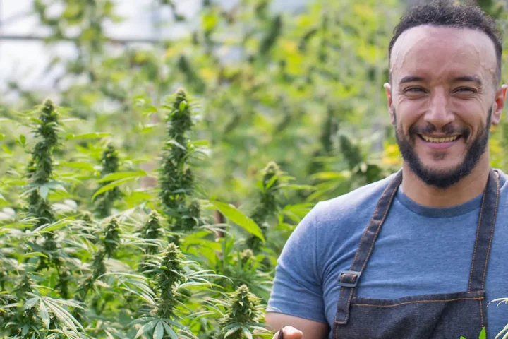 Ein Jahr Cannabis-Gesetz: Mehrheit lehnt die Teil-Legalisierung ab