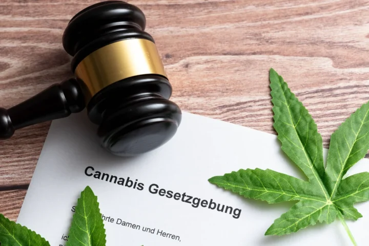 Ein Jahr Cannabis-Gesetz: Noch ist der Schwarzmarkt nicht ausgetrocknet