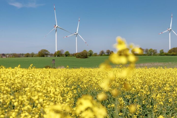 EU sieht sich auf gutem Weg zum Klimaziel 2030
