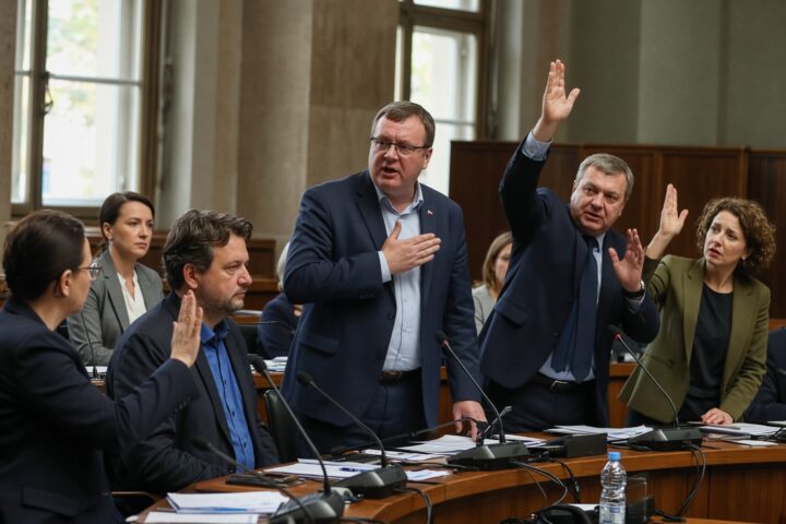 Pro-russische Abgeordnete wollten Kontrolle über Russland-Delegation des Europaparlaments gewinnen