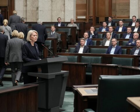 Berliner AfD-Chef: Moderates Image verdeckt Brücke zur extremen Rechten
