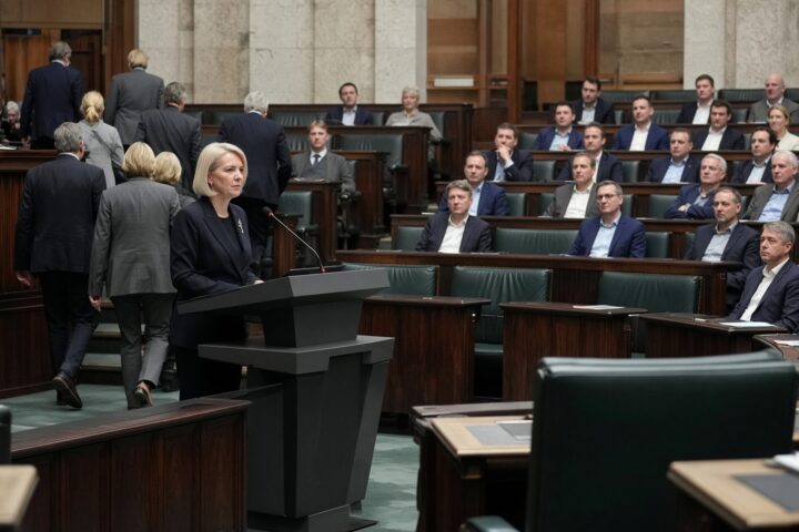 Berliner AfD-Chef: Moderates Image verdeckt Brücke zur extremen Rechten