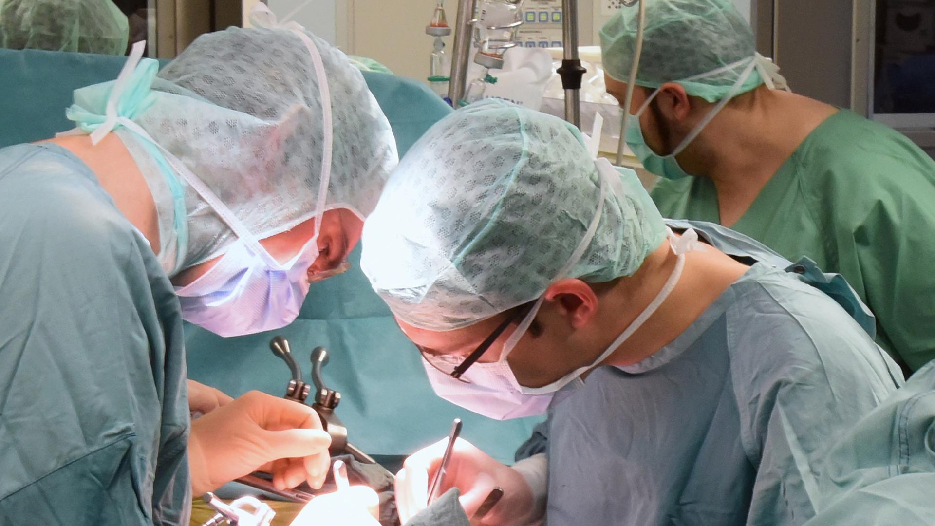 Im Transplantationszentrum am Universitätsklinikum Leipzig wird eine Niere beim Empfänger transplantiert.