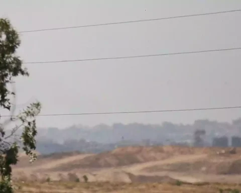 Blick über eine staubige Landschaft mit Bäumen im Vordergrund und einer fernen, verschwommenen Bebauung unter grauem Himmel.