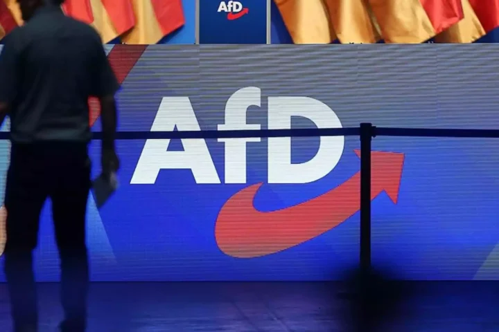 Silhouette einer Person vor einer Bühne mit großem AfD-Logo.