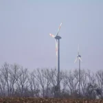 Drei Windräder stehen hinter kahlen Bäumen in einer offenen Landschaft.