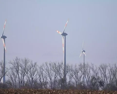Drei Windräder stehen hinter kahlen Bäumen in einer offenen Landschaft.