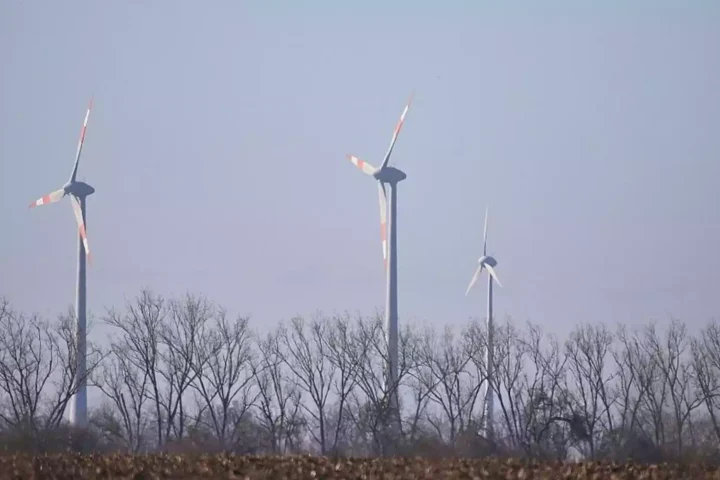 Drei Windräder stehen hinter kahlen Bäumen in einer offenen Landschaft.