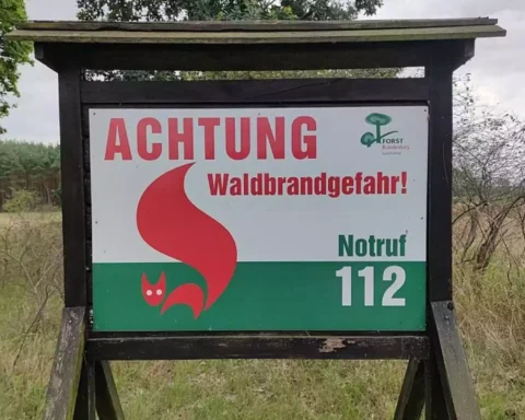 Warnschild mit der Aufschrift „Achtung Waldbrandgefahr“ und Notruf 112 an einem Waldrand.