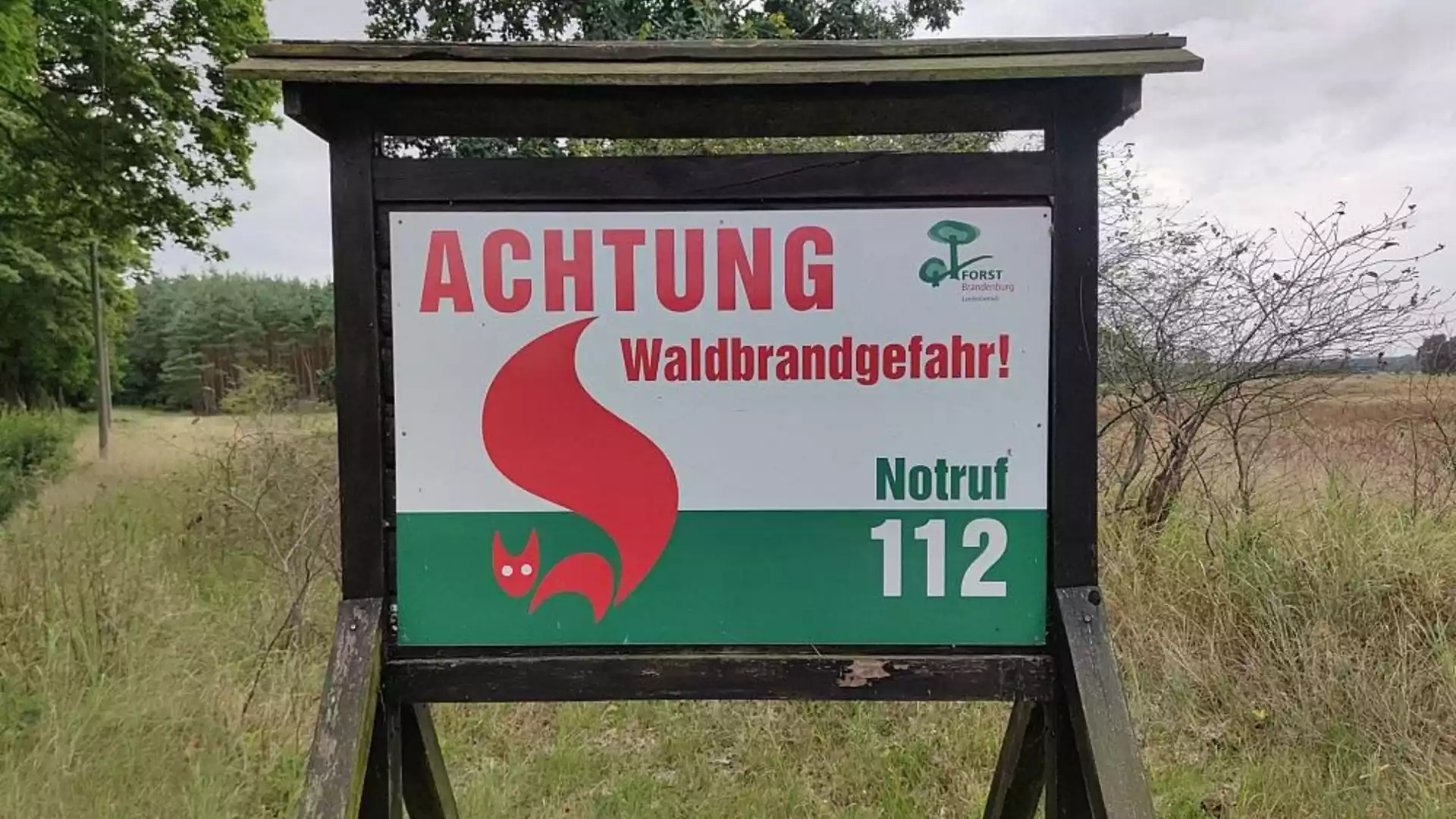 Warnschild mit der Aufschrift „Achtung Waldbrandgefahr“ und Notruf 112 an einem Waldrand.