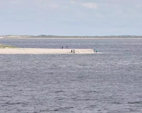 Blick auf eine kleine Sandbank in der Nordsee mit einigen Menschen im Wasser.