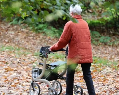 Ältere Frau schiebt einen Rollator auf einem mit Laub bedeckten Weg im Grünen.