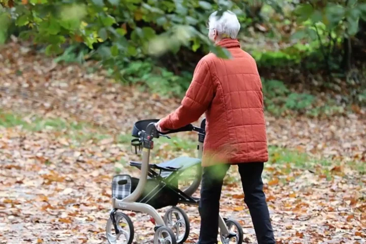 Ältere Frau schiebt einen Rollator auf einem mit Laub bedeckten Weg im Grünen.