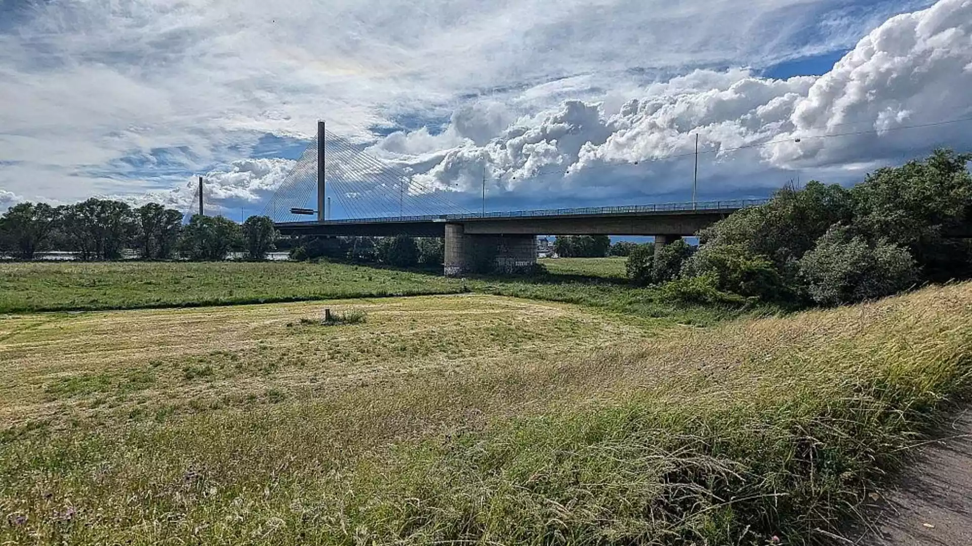 Autobahnbrücke über einer grünen Landschaft mit Wiesen und Wolkenhimmel.