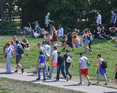 Junge Menschen sitzen und gehen auf einer Wiese in einem Park.