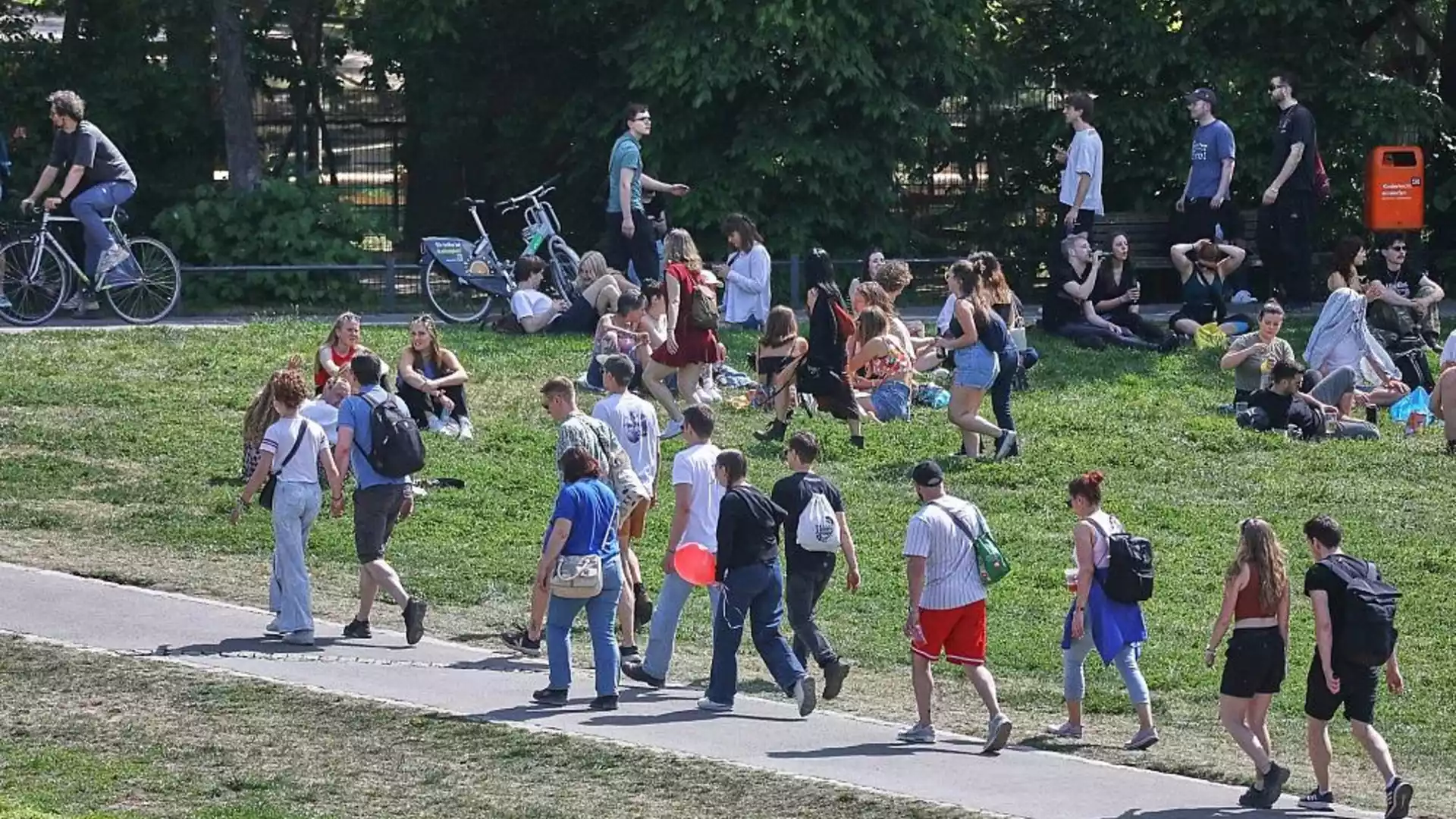 Junge Menschen sitzen und gehen auf einer Wiese in einem Park.