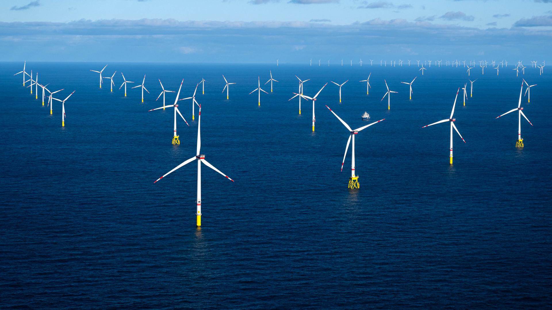 Offshore-Windpark mit mehreren Windrädern im Meer