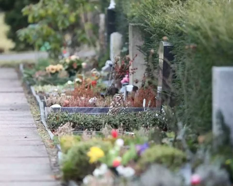 Ein Weg entlang von Gräbern und Blumen auf einem Friedhof.