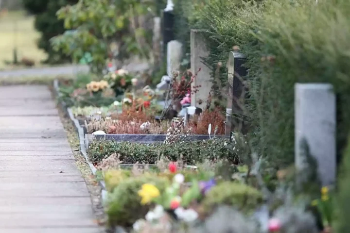 Ein Weg entlang von Gräbern und Blumen auf einem Friedhof.