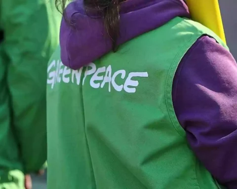 Person mit grünem Greenpeace-Überwurf und violettem Kapuzenpullover von hinten.