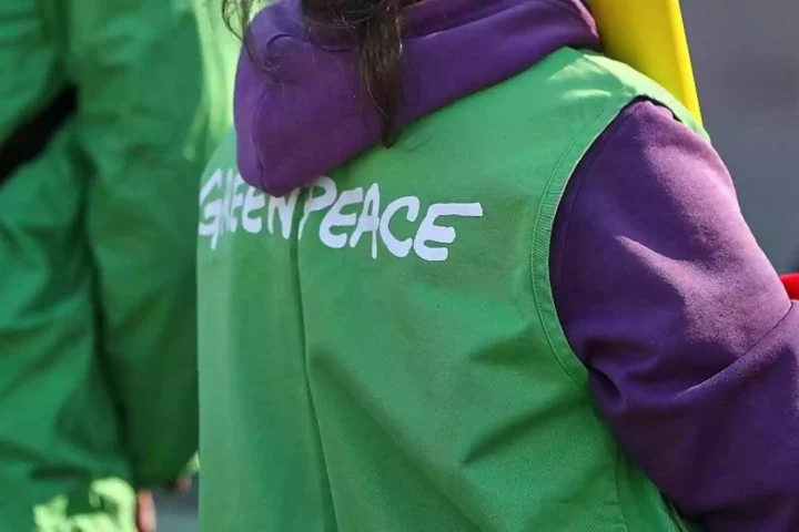 Person mit grünem Greenpeace-Überwurf und violettem Kapuzenpullover von hinten.